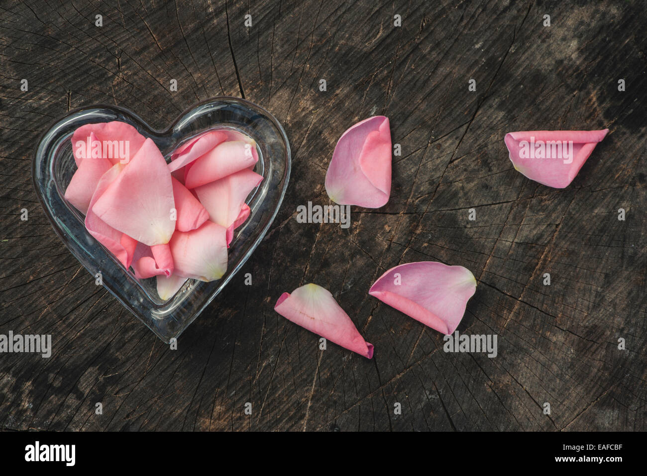 Rosenblätter in Herzform auf Holz Stockfoto