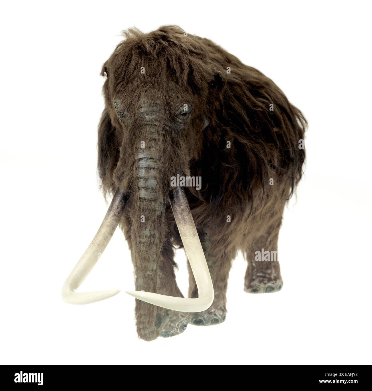 Modell der Ilford-Mammut Stockfoto