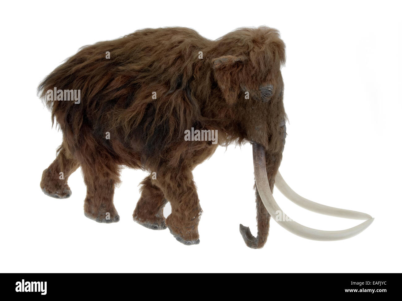 Modell der Ilford-Mammut Stockfoto