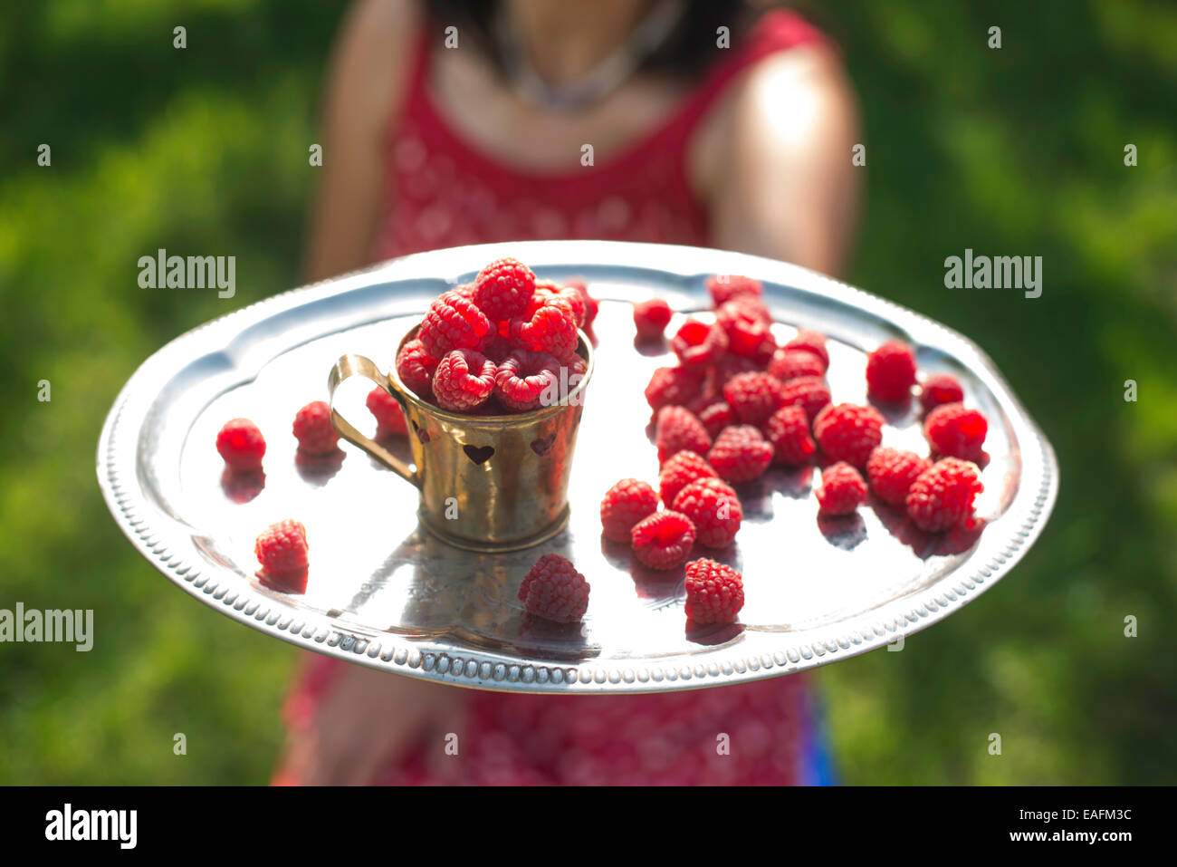 Frau im roten Kleid hält eine Tasse Himbeeren Stockfoto