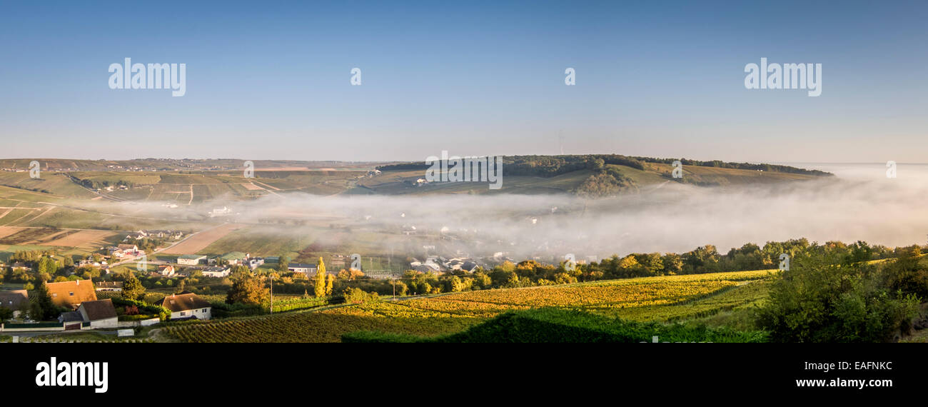 Panorama von Nebel, die Rollen zwischen den Hügeln am Sancerre, Frankreich Stockfoto