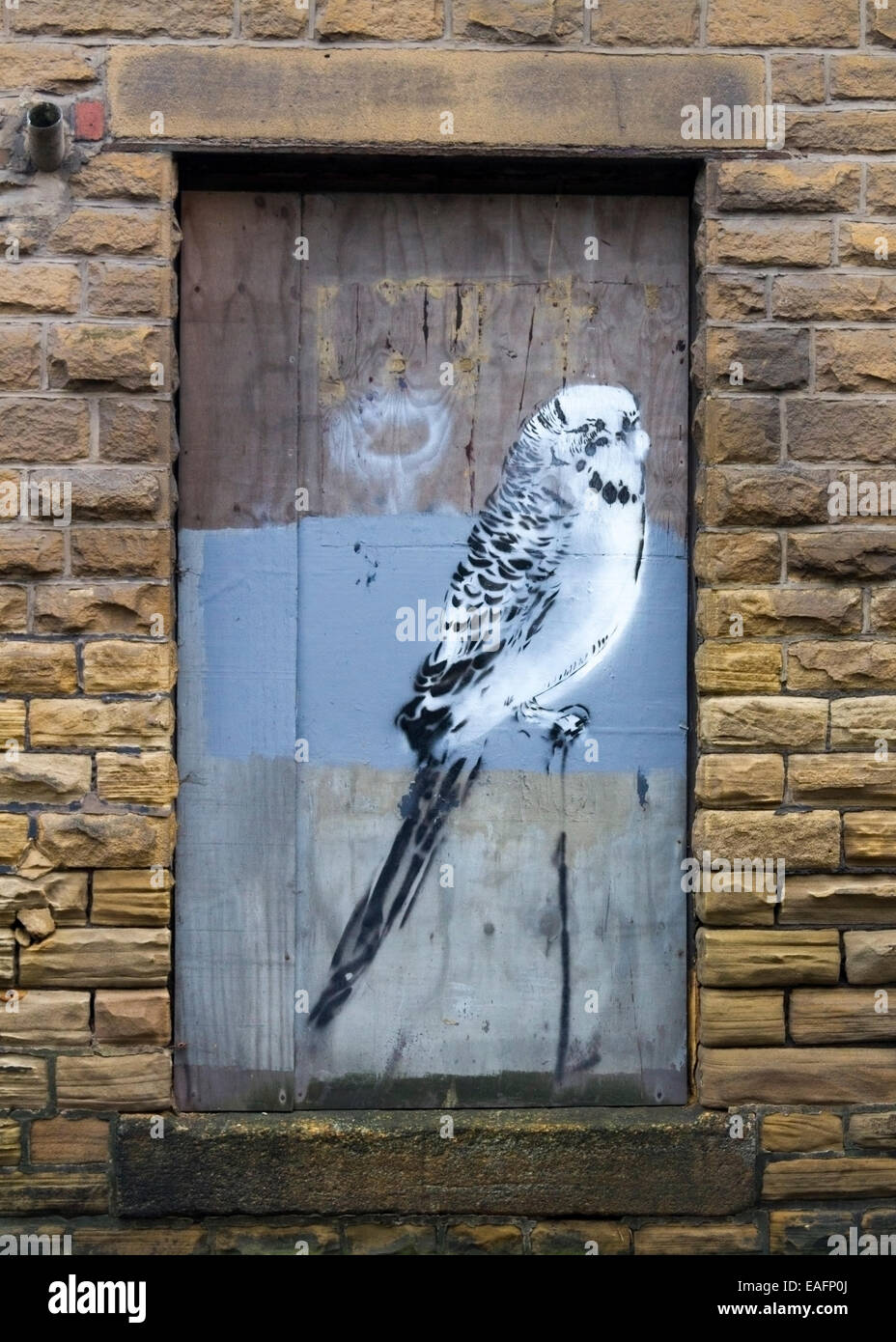 Wellensittich Graffiti auf einem bestiegen, Fenster Stockfoto