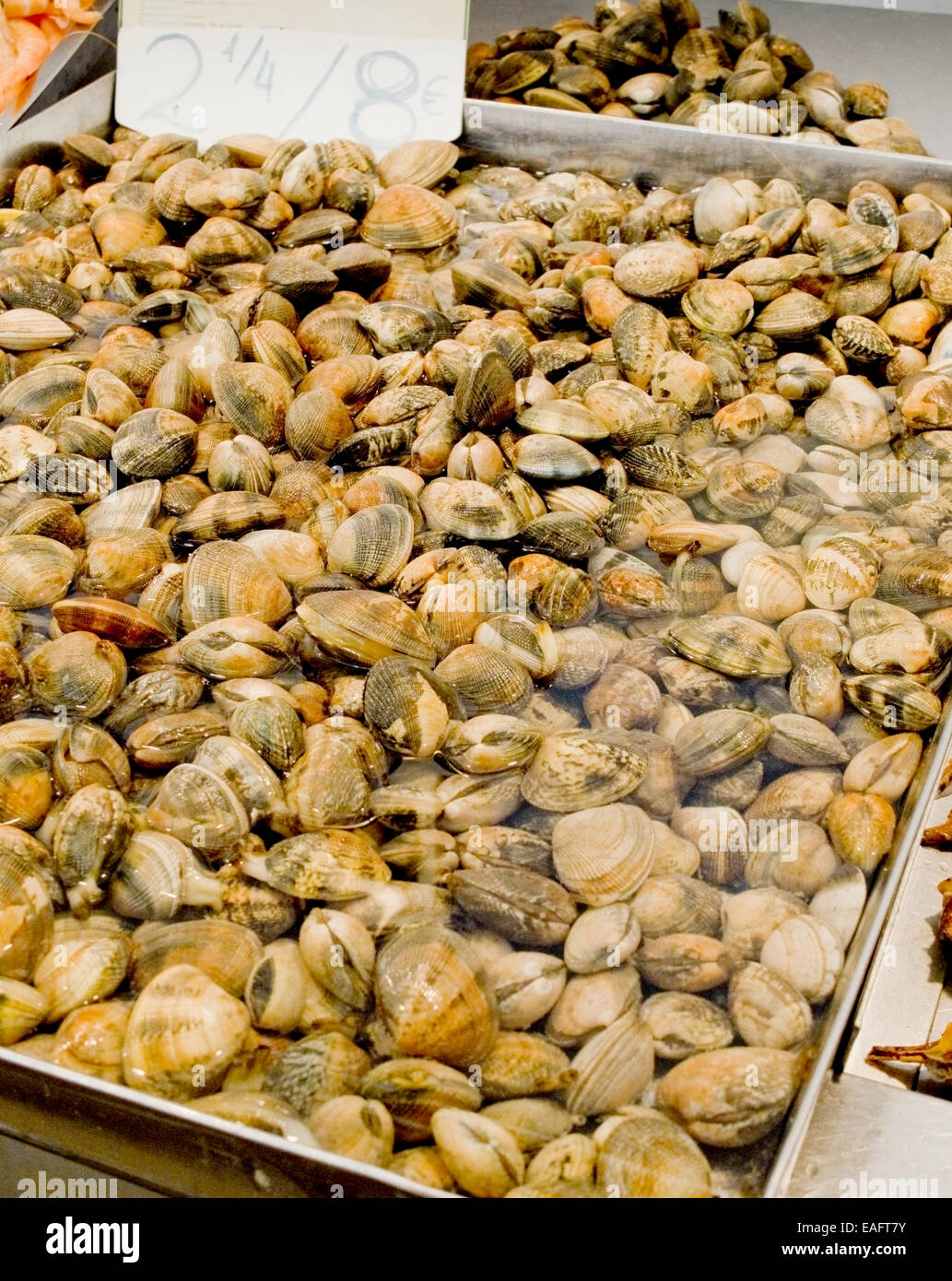 Frische Muscheln in einem europäischen mediterranen Markt. Stockfoto