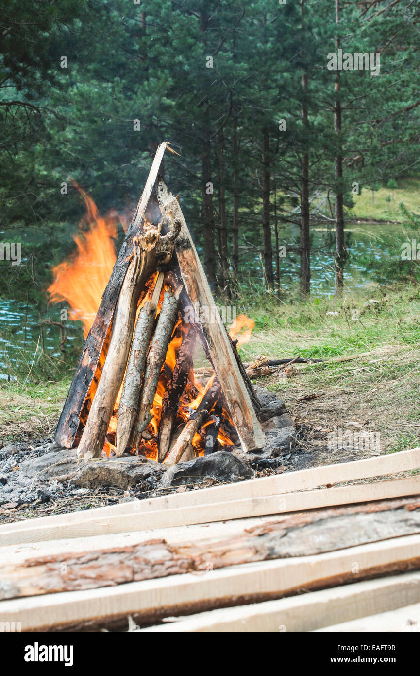 Feuer in der Natur. Grillen im Wald vorbereiten Stockfoto