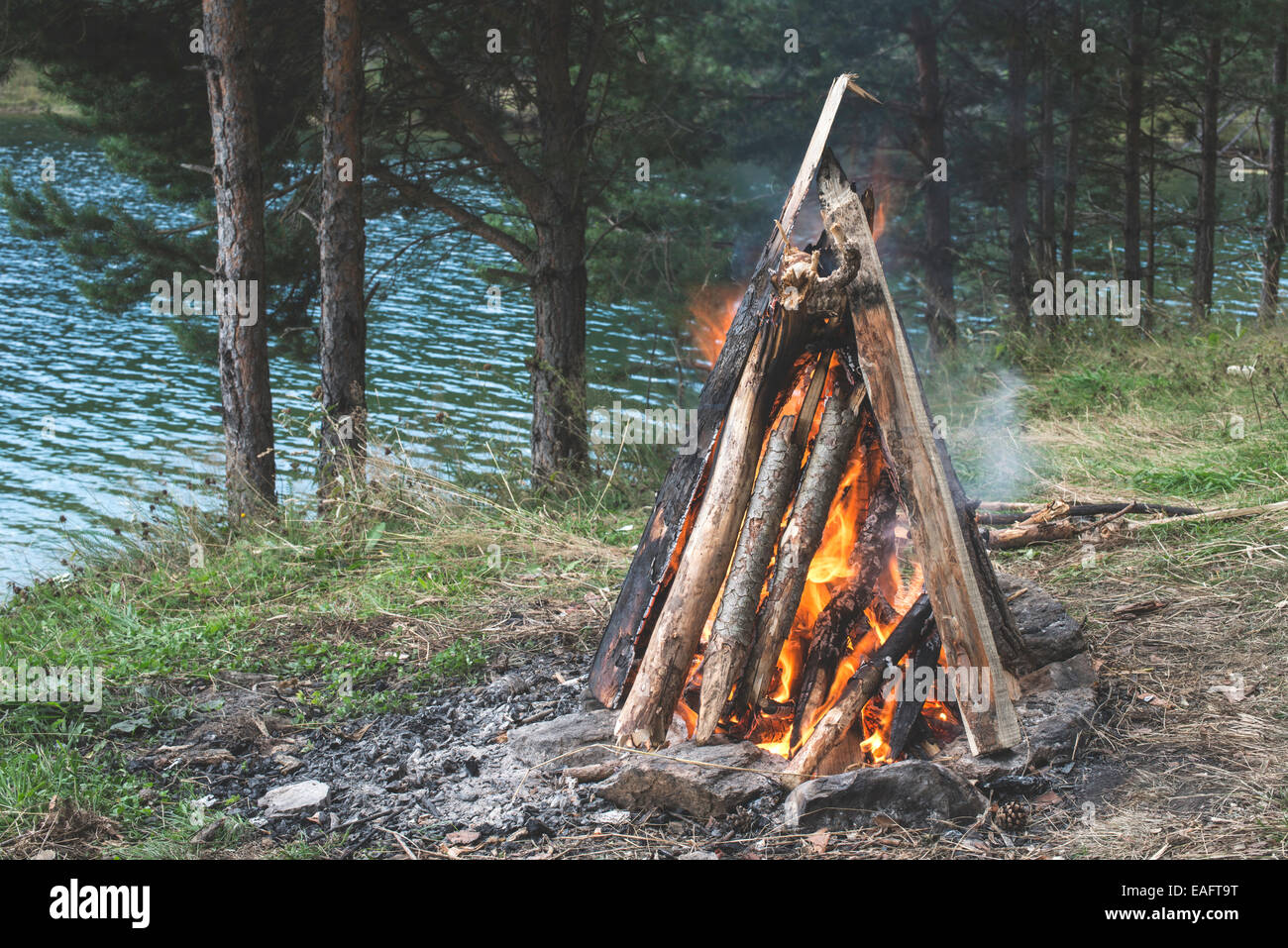 Feuer in der Natur. Grillen im Wald vorbereiten Stockfoto