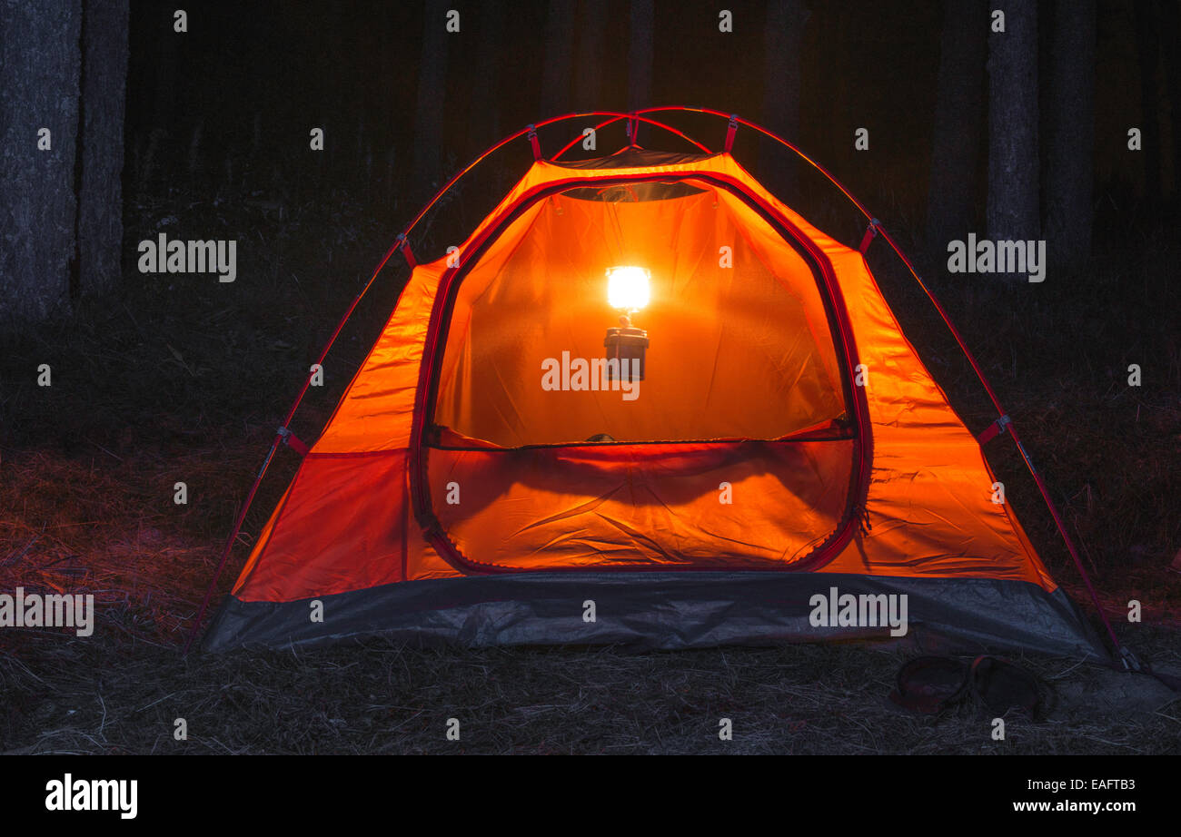 Orange Zelt im Wald bei Nacht Stockfoto