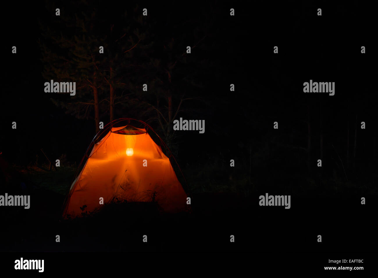 Orange Zelt im Wald bei Nacht Stockfoto