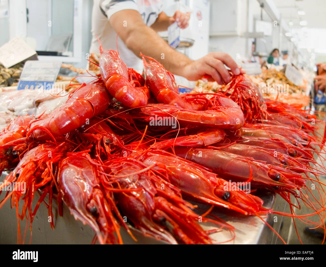 Rote Garnele in einem europäischen mediterranen Markt. Stockfoto