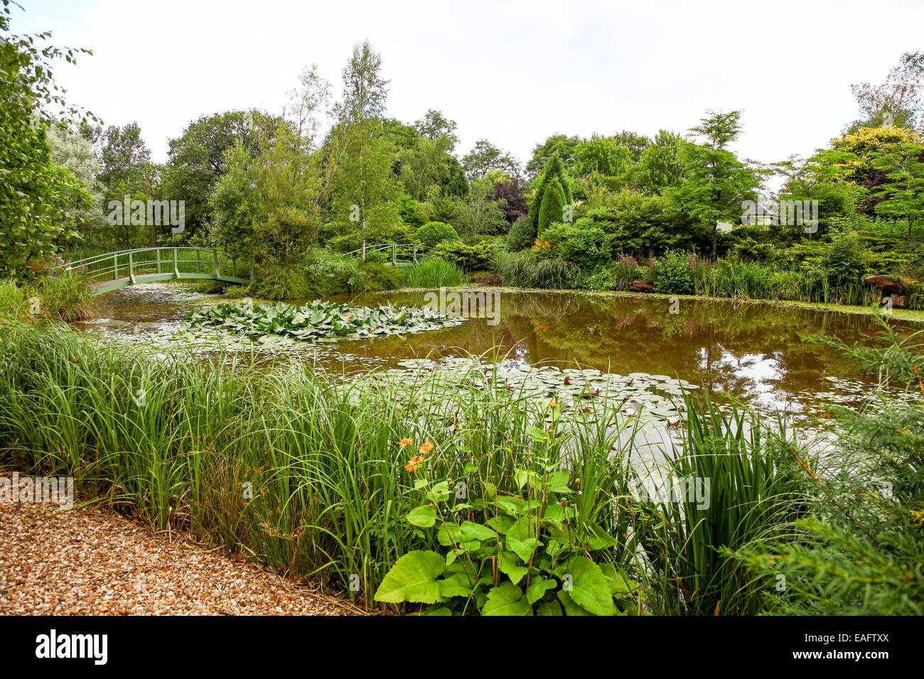 Wilkins Pleck private Garten Stoke-on-Trent Mitarbeiter England UK Stockfoto