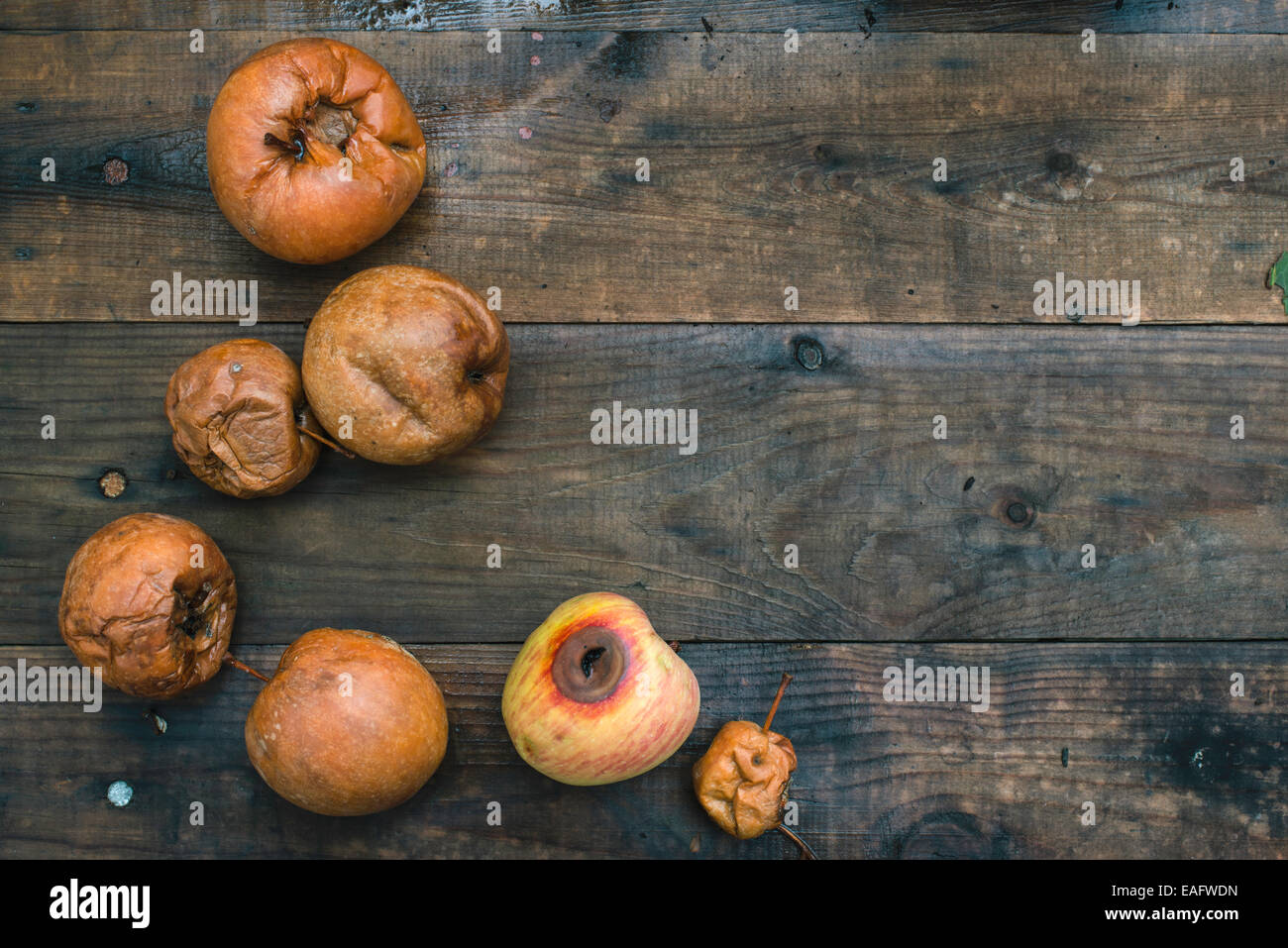 Faule Äpfel auf Holz. Tageslicht Stockfoto