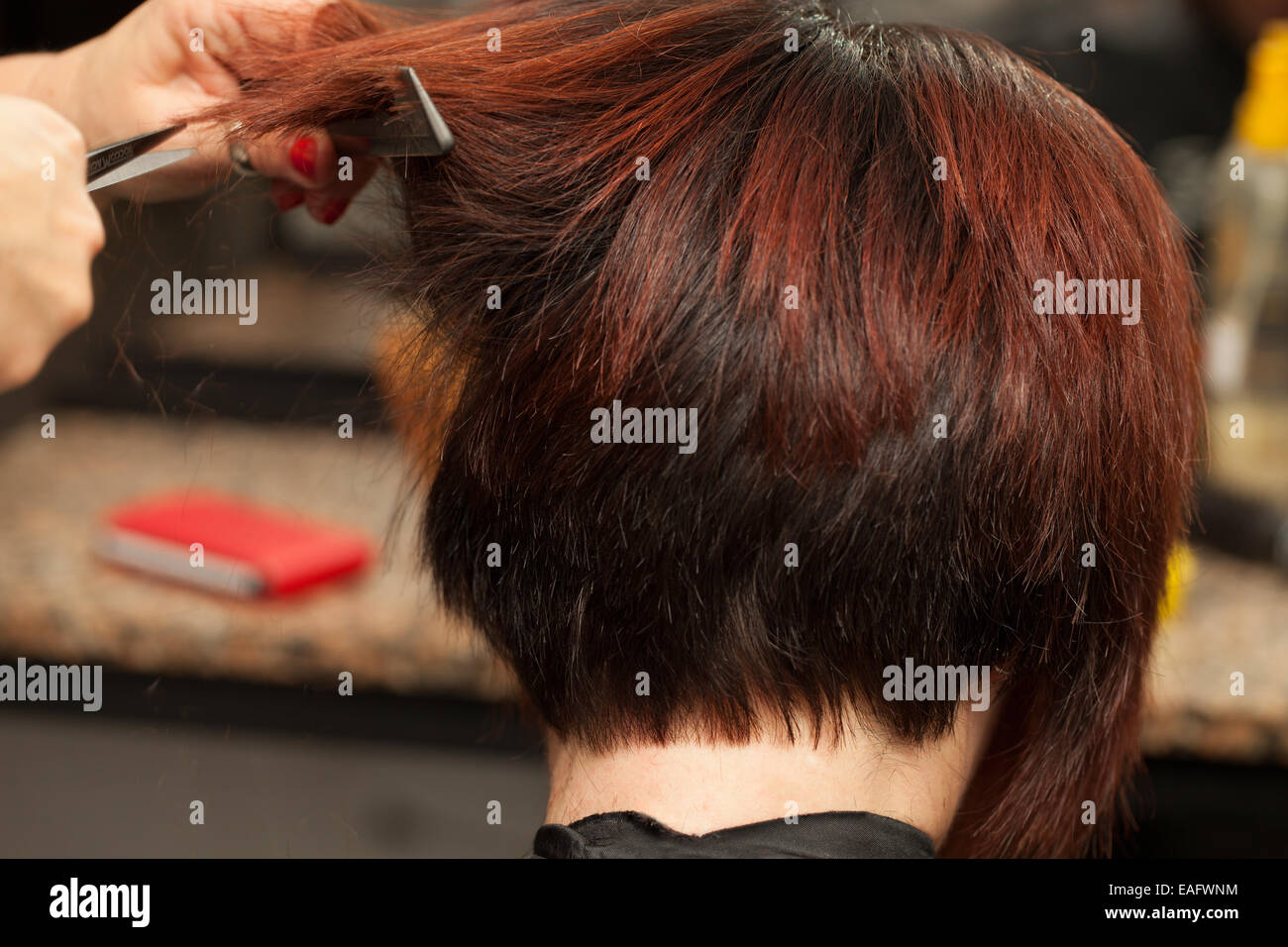 Haare schneiden Detailansicht Stockfoto