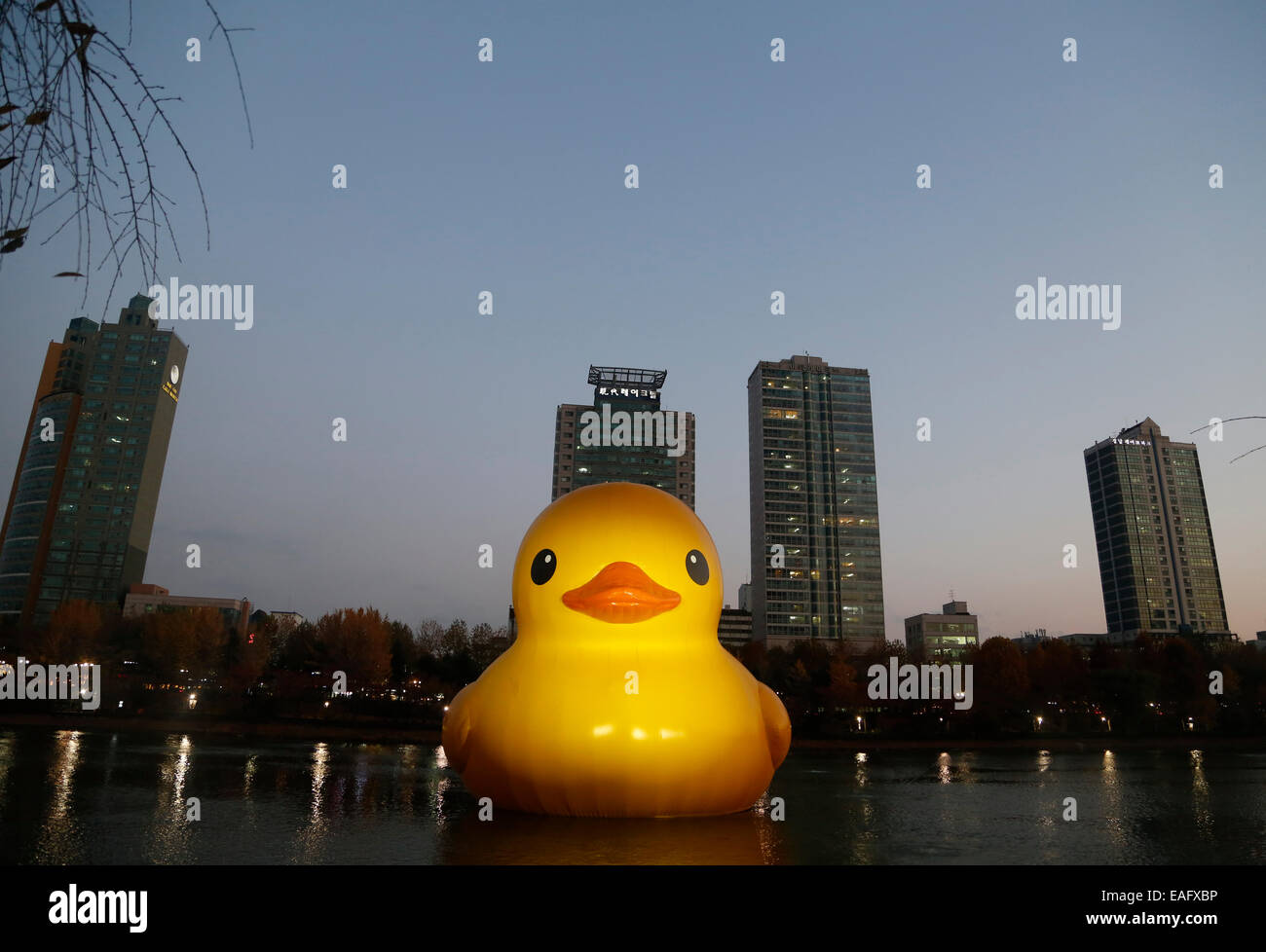 Seoul, Südkorea. 14. November 2014. Eine gigantische Gummiente, entworfen vom holländischen Künstler Florentijn Hofman sieht man schwimmt in Seokchon See, Seoul, Südkorea, auf Freitag, 14. November 2014. Die 300 kg, 54-Fuß hohen Gummiente wurde in Seoul vom 14. Oktober 2014 bis 14. November 2014 als Teil einer Werbeaktion für Lotte World Tower ausgestellt. Bildnachweis: Jone Ri/Alamy Live-Nachrichten Stockfoto