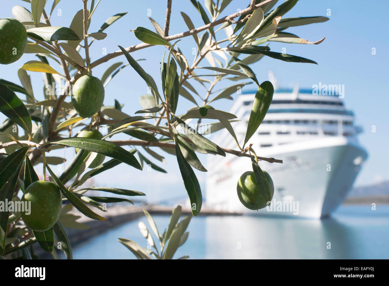 Großen Passagier Schiff und Olive Bäume in Griechenland Stockfoto