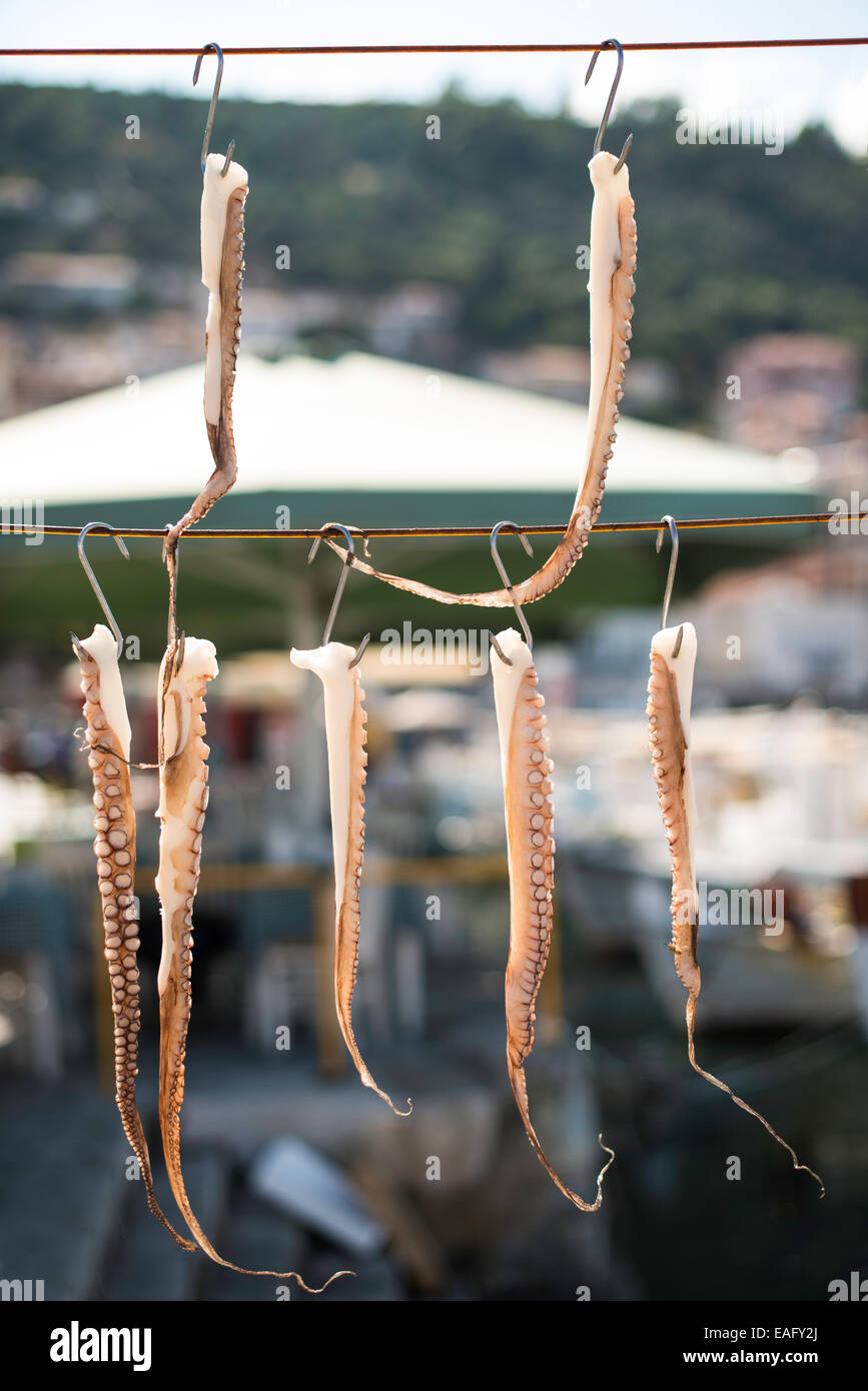 Oktopus auf Seil und Boote gebunden Stockfoto