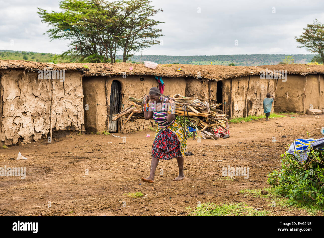 Afrikanische Frau Massai tragen eine Reihe von Holz in ihrem Dorf Stockfoto