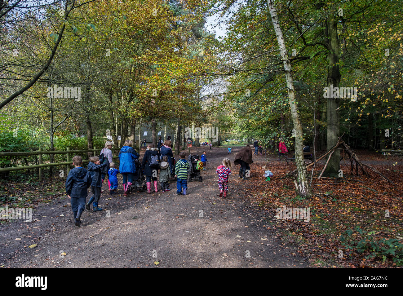 Mütter und ihre Kinder machen einen Spaziergang durch Thorndon Woods in Essex, Großbritannien. Stockfoto