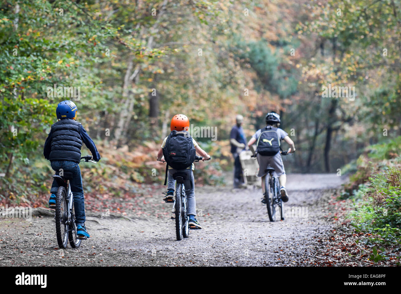 Drei jungen Fahrrad durch ein Waldgebiet in Essex. Stockfoto