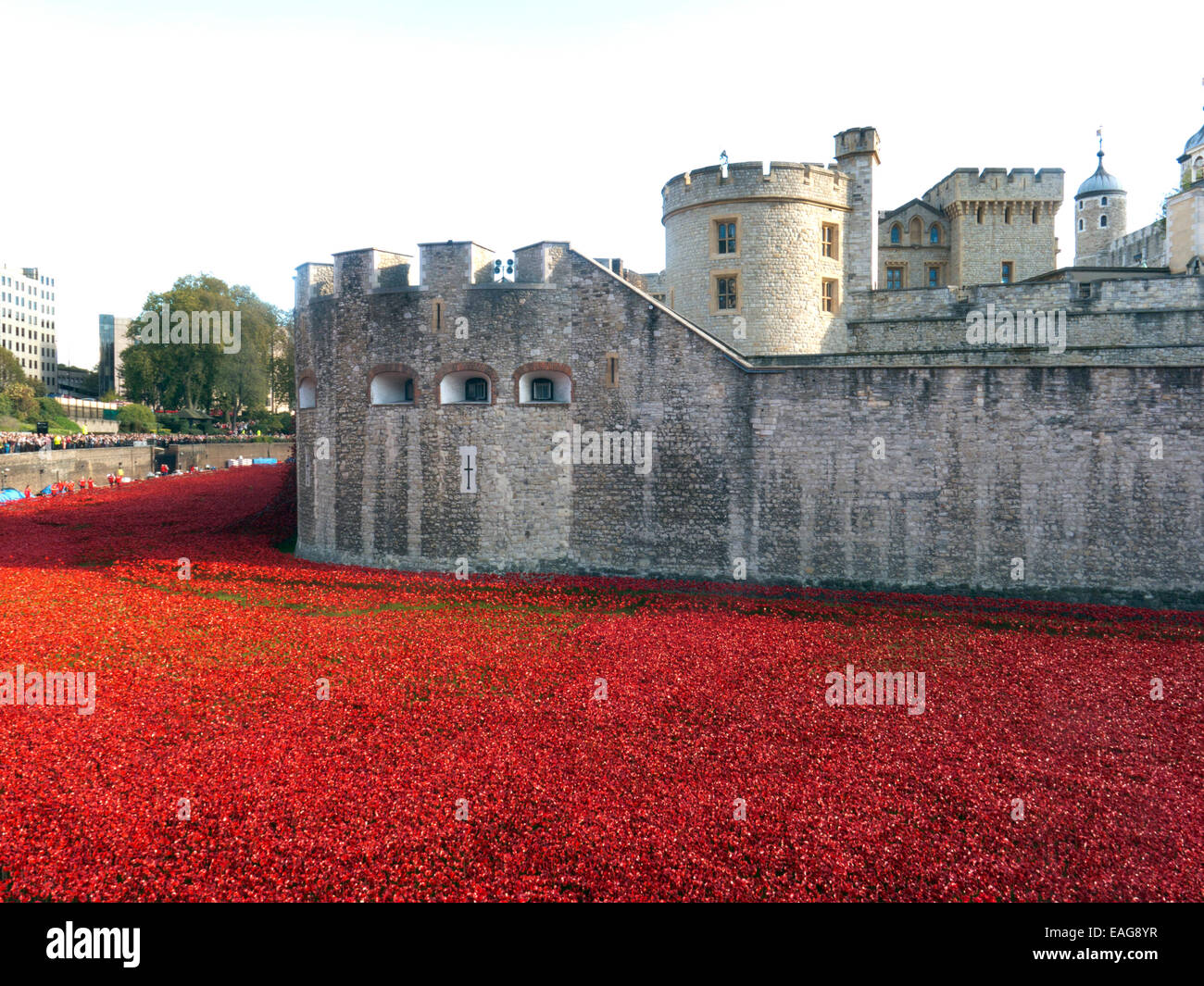 Keramik Mohn DisplayTower 2014 von London als Symbol für den 1. Weltkrieg Centenary "Blut Mehrfrequenzdarstellung Länder und Meere of Red" Stockfoto