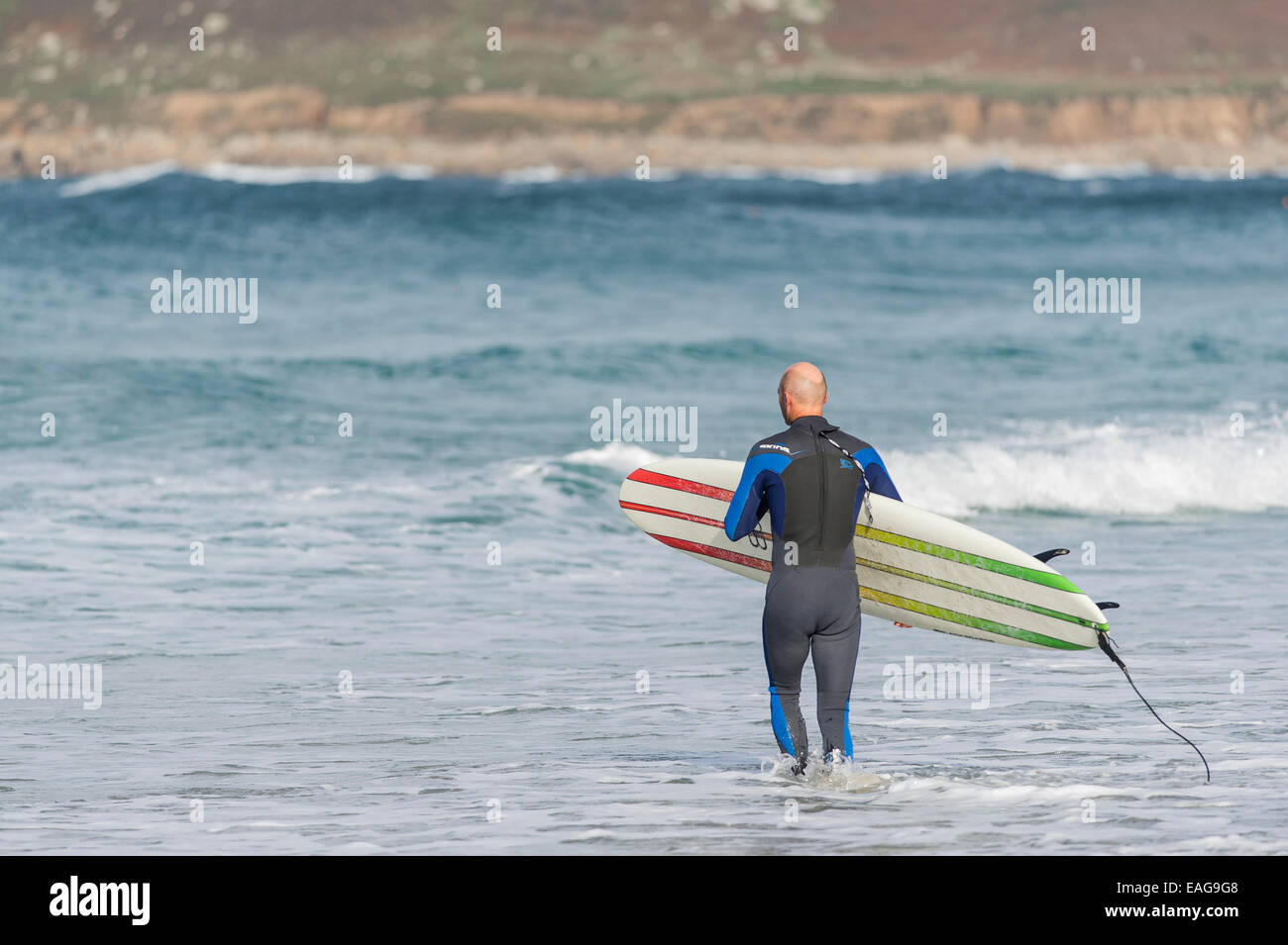 Ein Surfer, zu Fuß ins Meer Sennen Cove in Cornwall. Stockfoto