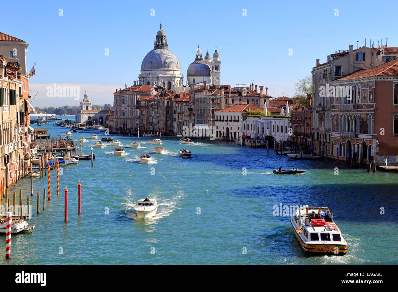 Wassertaxis auf dem Canal Grande mit Santa Maria della Salute auf Dorsoduro von der Accademia-Brücke, Venedig, Italien. Stockfoto