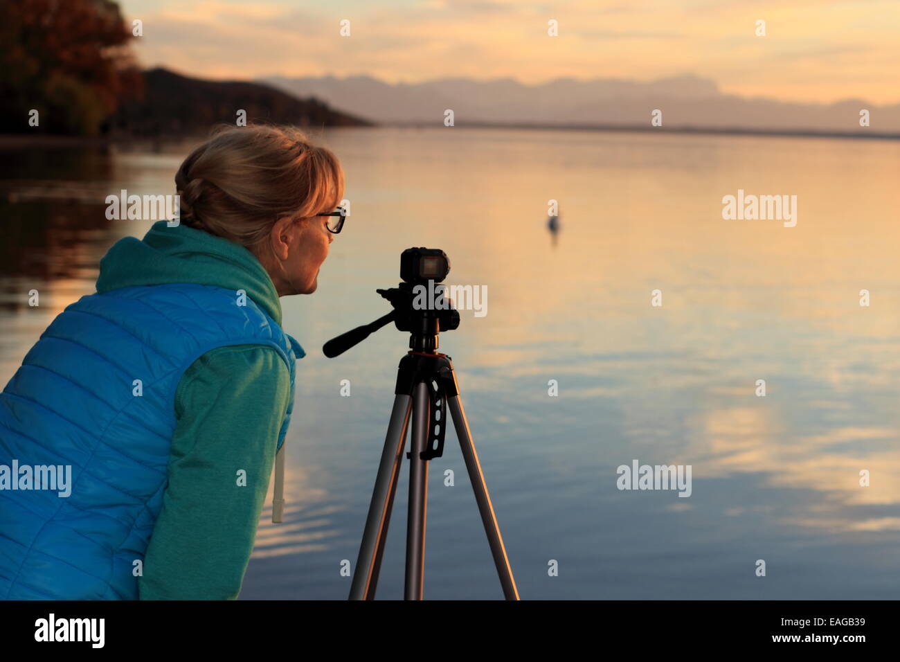 Nette Frau Film Sonnenuntergang mit Schwänen auf See, horizontale Stockfoto