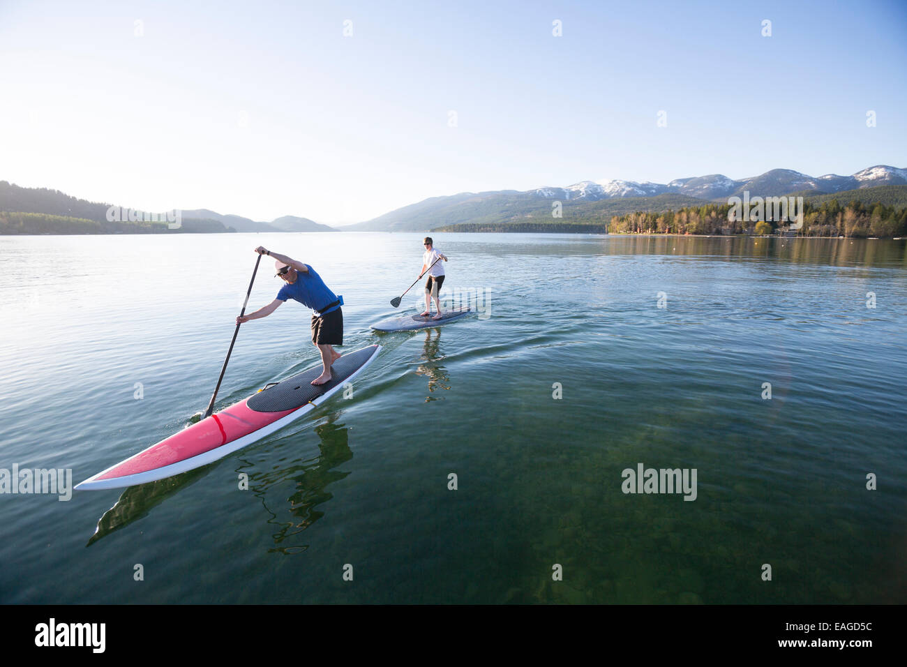 Eine Passform, die männlichen und weiblichen stand Paddle Board (SUP) bei Sonnenuntergang am Whitefish Lake in Whitefish, Montana. Stockfoto