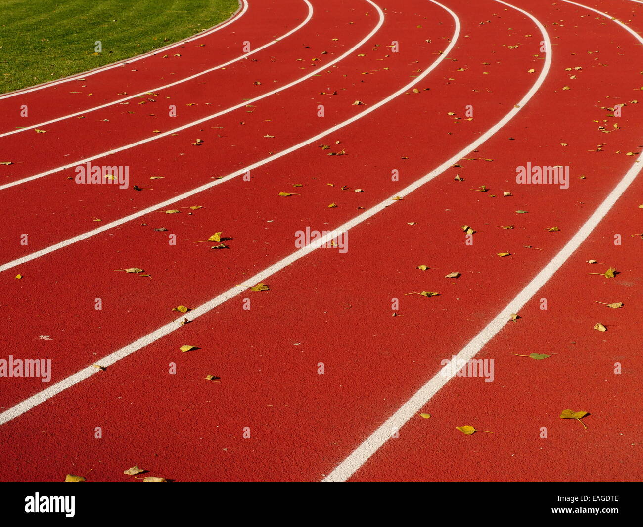 Laufstrecke rot mit weißen Linien im Stadion Stockfoto