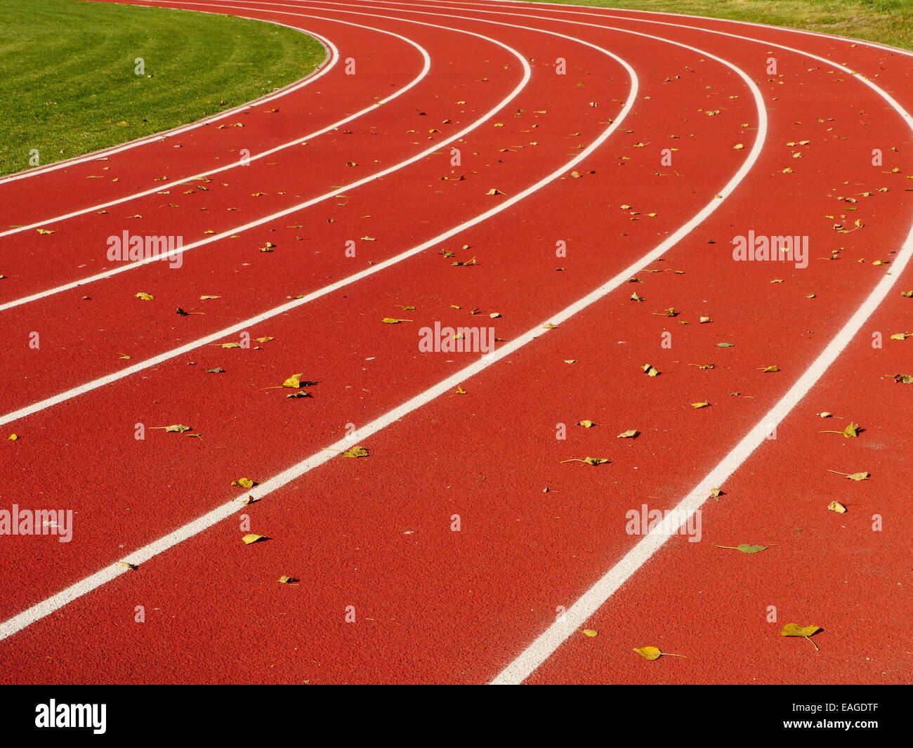 Laufstrecke rot mit weißen Linien im Stadion Stockfoto