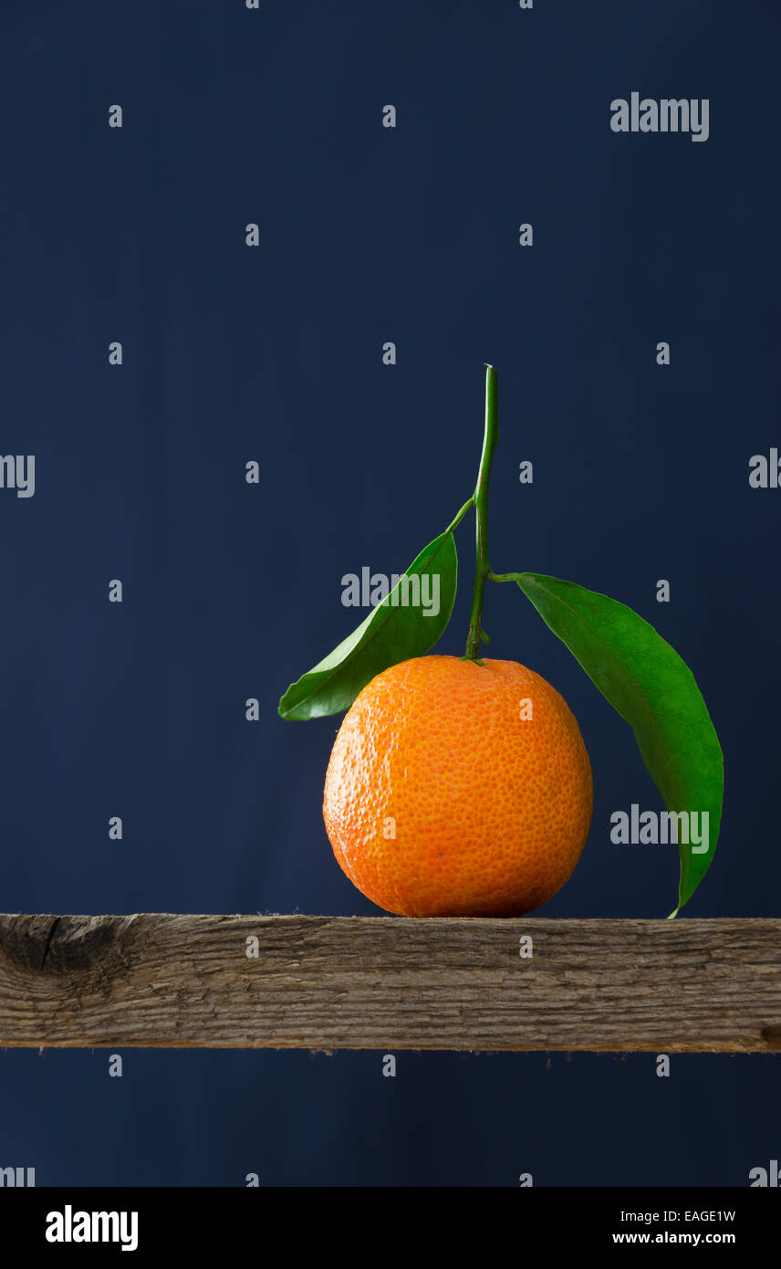 Einzelne reifen Mandarine auf Holzbrett mit Textfreiraum Stockfoto