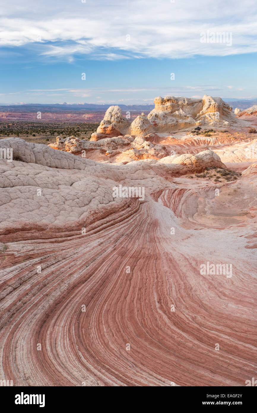 Einzigartige Sandstein-Formationen bekannt als White Pocket in Arizona. Stockfoto