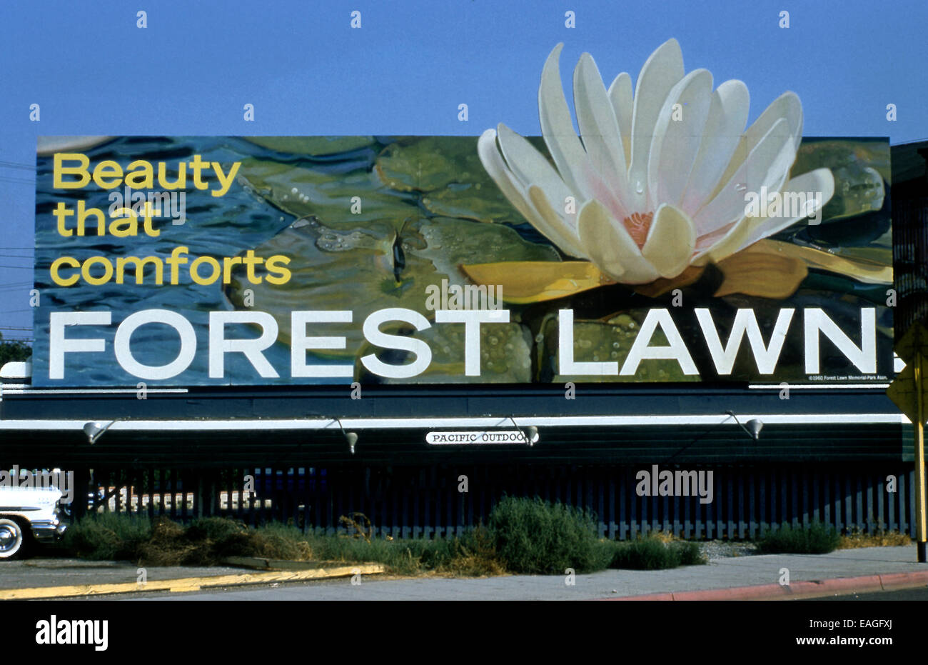 Forest Lawn Friedhof Billboard ca. 1950er Jahre Stockfoto