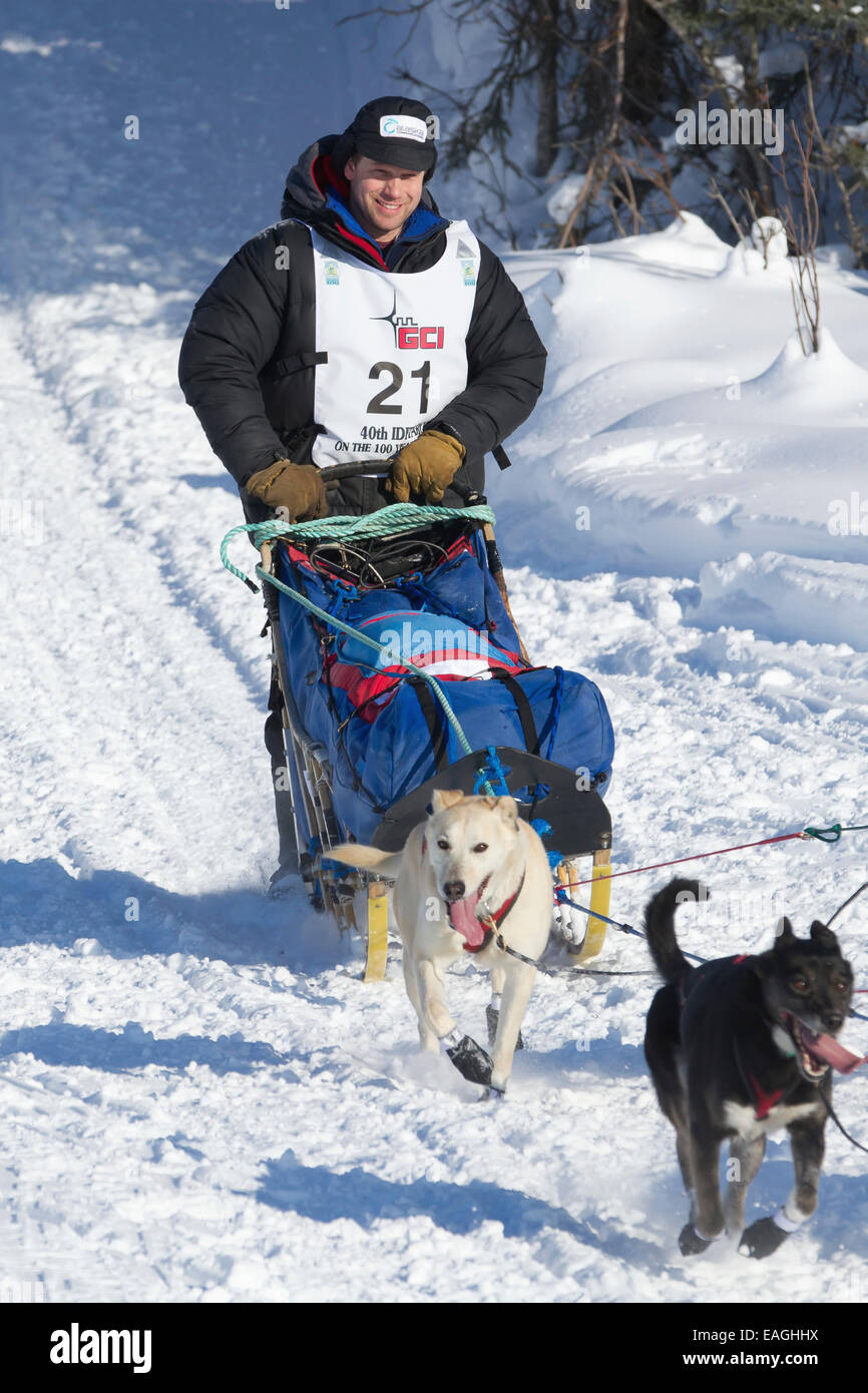 Ramey Smyth am langen See bei dem Neustart des 2012 Iditarod Sled Dog Race, Soutchentral Alaska Stockfoto