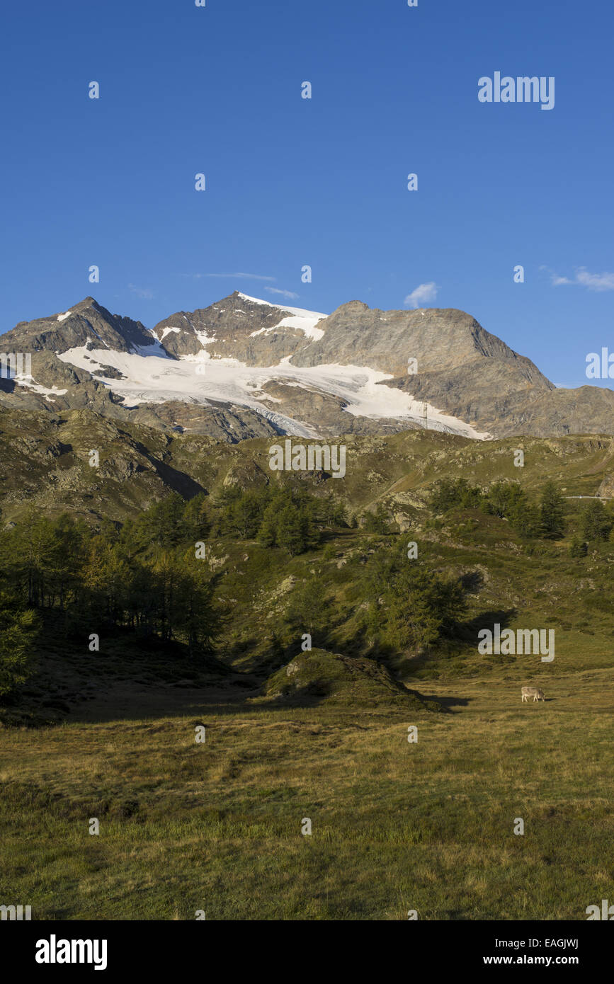 Berninapass, Graubündens, der Schweiz, Graubünden Stockfoto