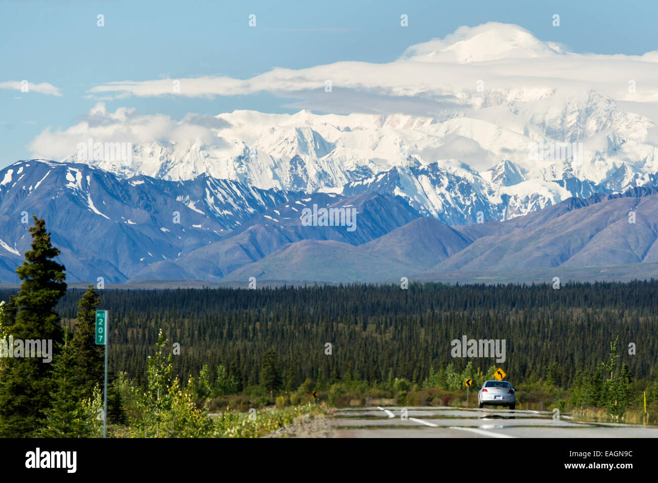 Mt. Mckinley gesehen von George Parks Highway, innen Alaska, Sommer Stockfoto
