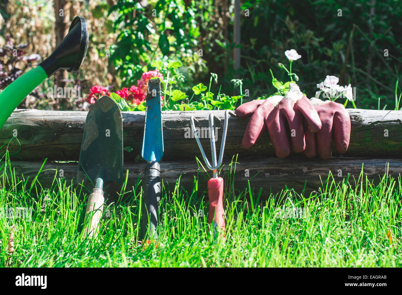 Garten-Tools auf der grünen Wiese. Handschuhe und klingen Stockfoto