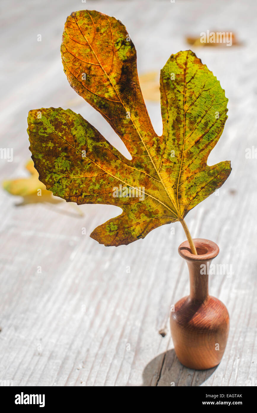 Kleine hölzerne Vase mit Herbst Blatt. Weiße Holz Hintergrund Stockfoto