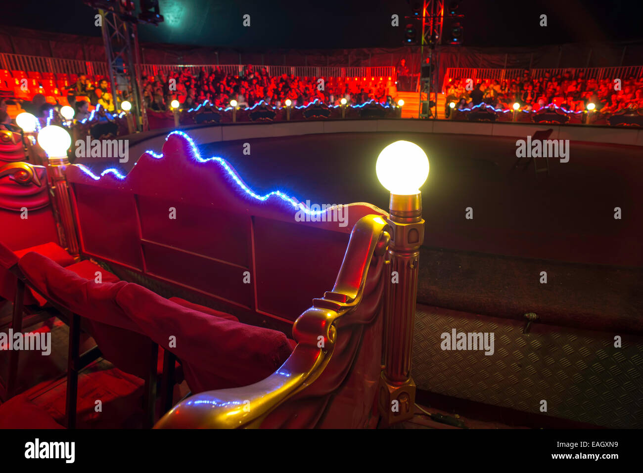 Circus Arena Innenraum. Blaue und rote Lichter. Im Inneren Stockfoto