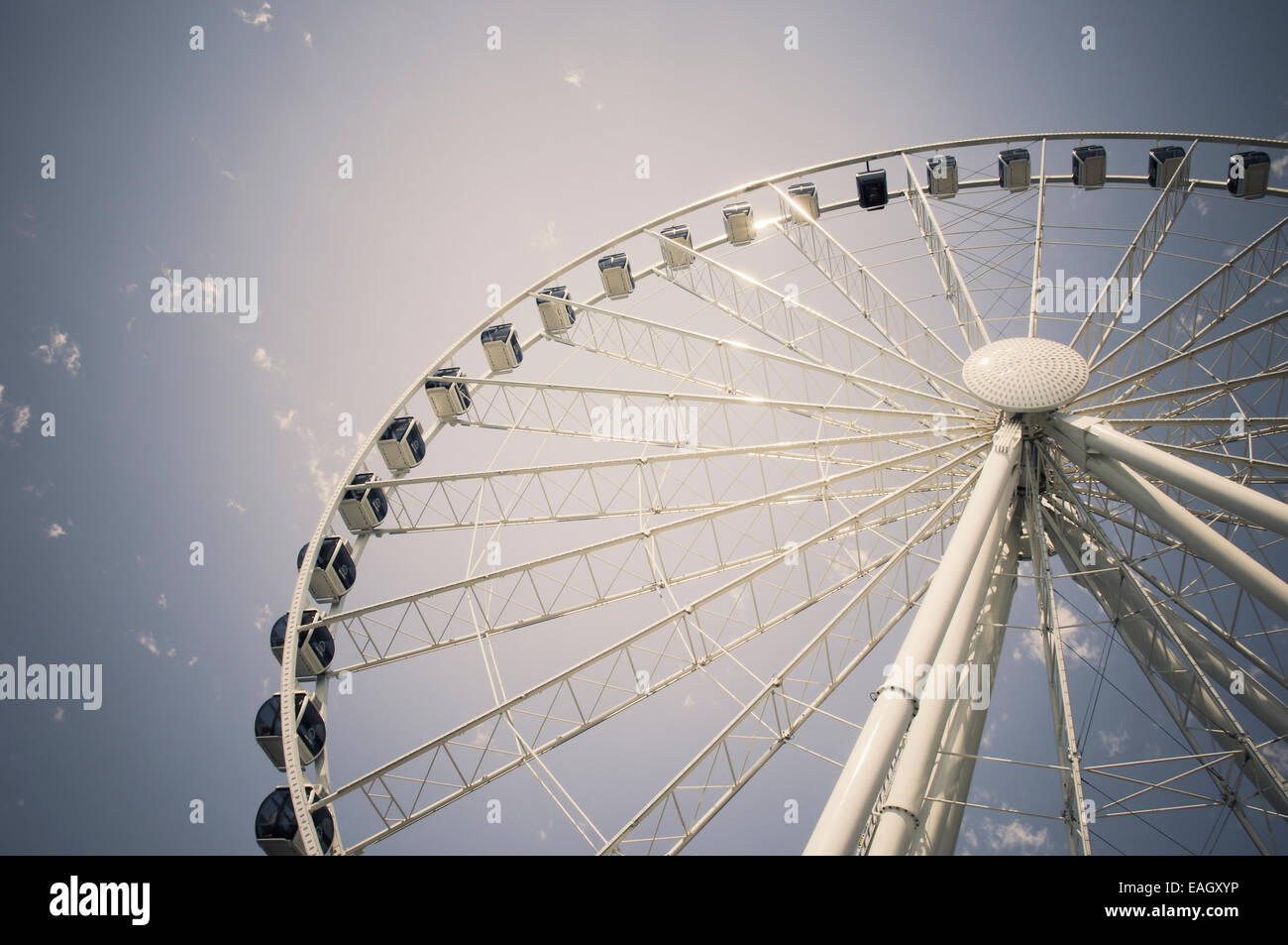Die Seattle Great Wheel Seattle Waterfornt, Washington, USA Stockfoto