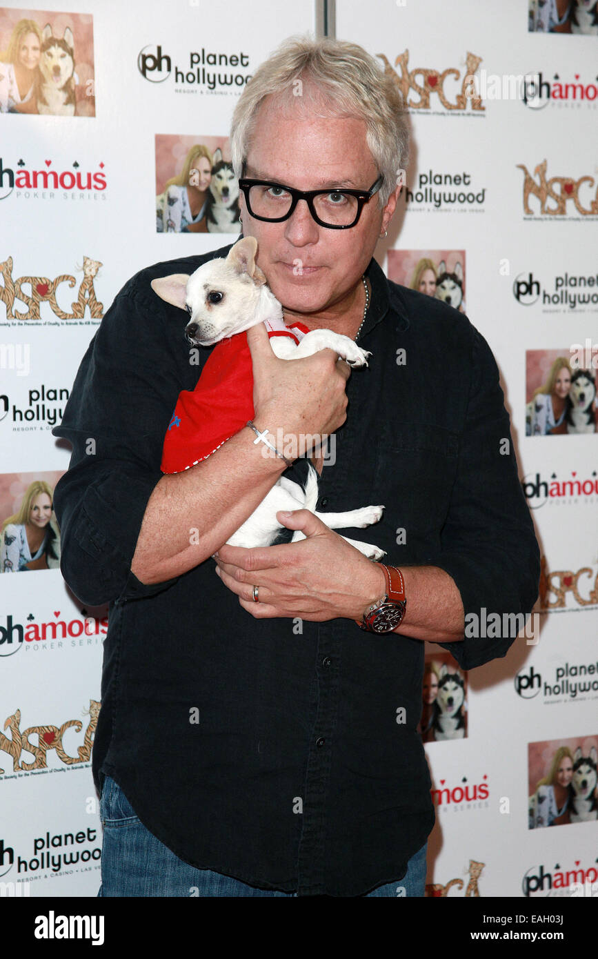 Las Vegas, Nevada, USA. 14. November 2014. Musiker Hugh McDonald besucht die Jennifer Harman Promi-Poker-Turnier zugunsten der Nevada SPCA am 14. November 2014 im Planet Hollywood Hotel & Casino in Las Vegas, Nevada. Bildnachweis: Marcel Thomas/ZUMA Draht/Alamy Live-Nachrichten Stockfoto