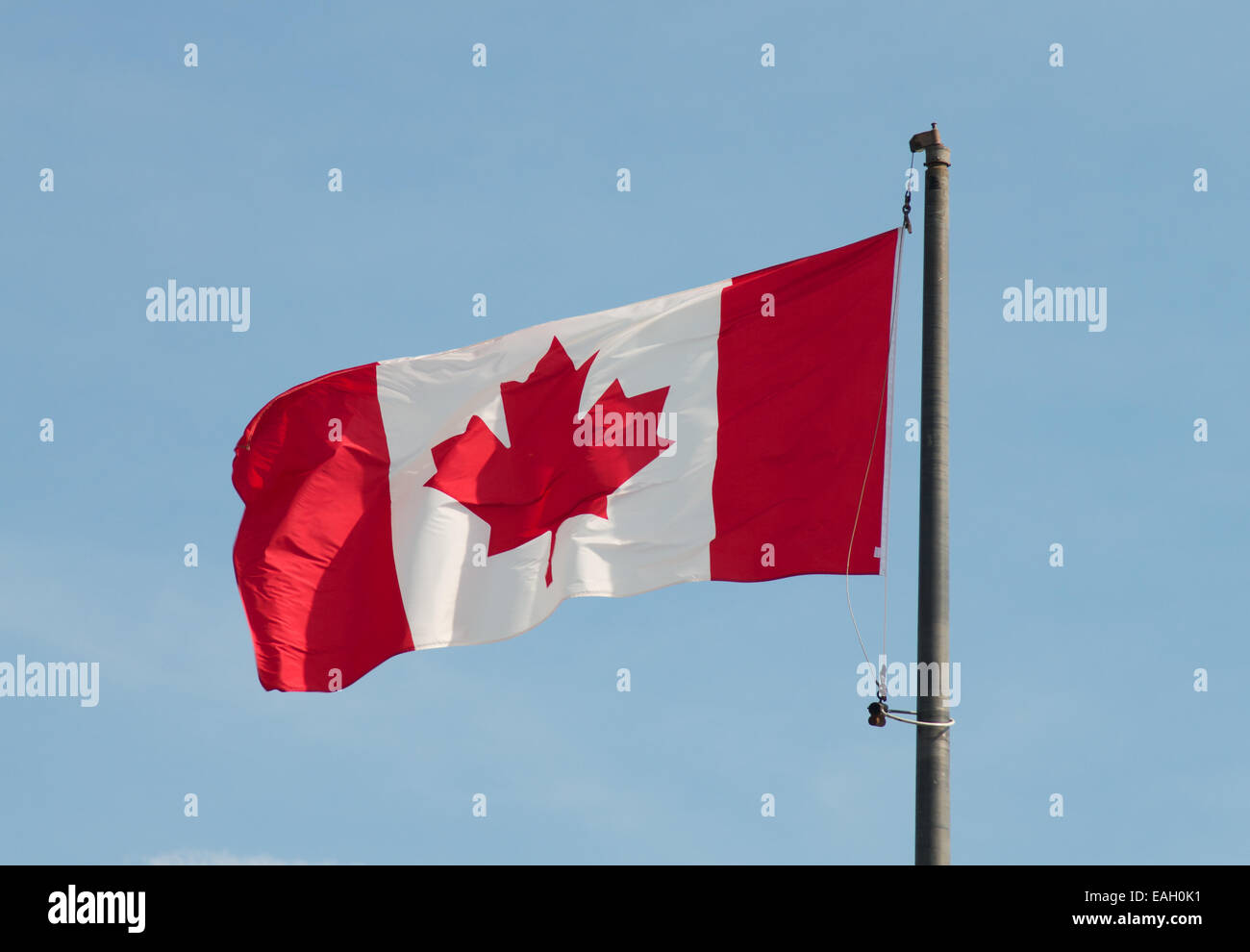 Der Maple Leaf, kanadische Nationalflagge. Stockfoto
