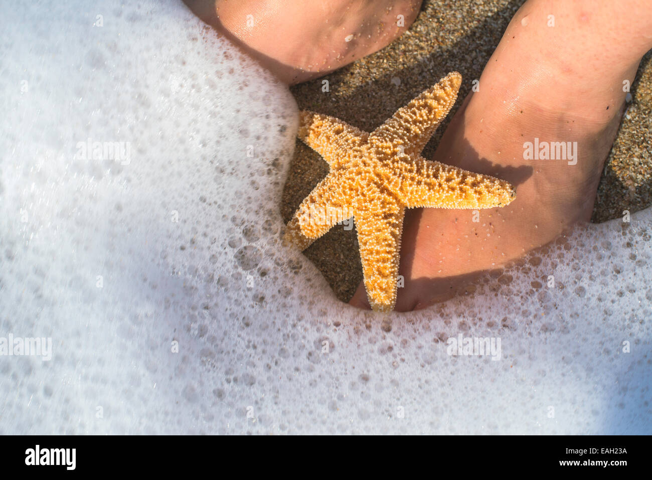 Seestern und Füße am Strand. Wellen des Meeres Stockfoto