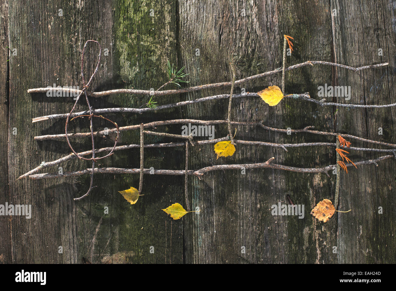 Musiknoten-Konzeption. Hölzerne Noten und Blätter Stockfoto