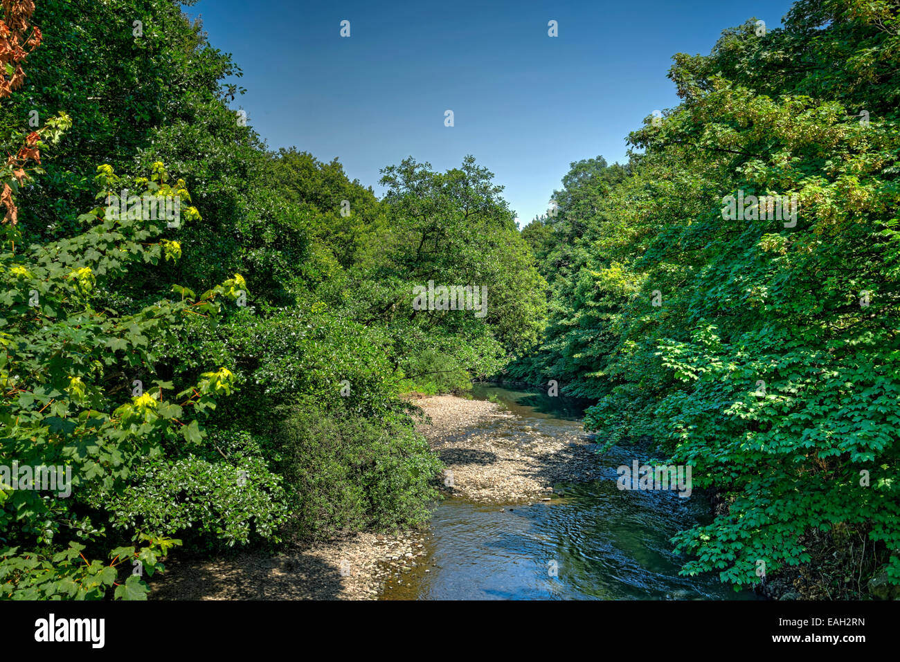 Von Bäumen gesäumten Fluss tief im Wasser nach einer langen Durststrecke, das Kiesbett des Flusses auszusetzen. Stockfoto