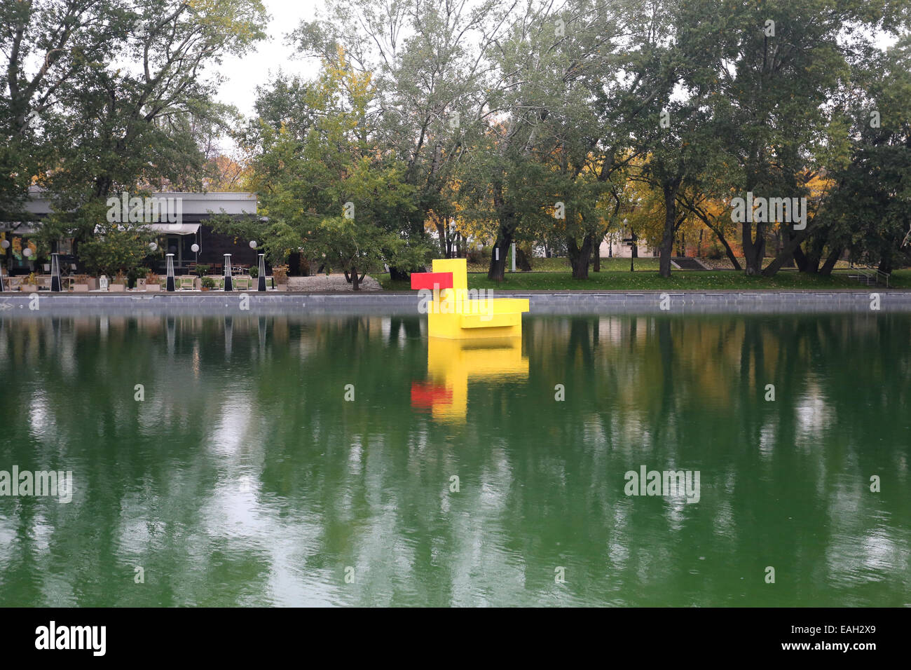 Gelbe Entlein in einem Teich in einem Park Kultur in Moskau Stockfoto