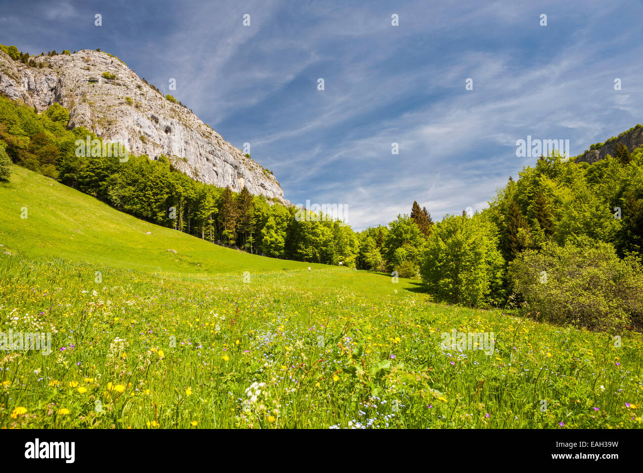 Mont Outheran und Col du Mollard, Entremon le Vieux, Naturpark La Chartreuse, Savoie, Rhône-Alpes, Frankreich Stockfoto