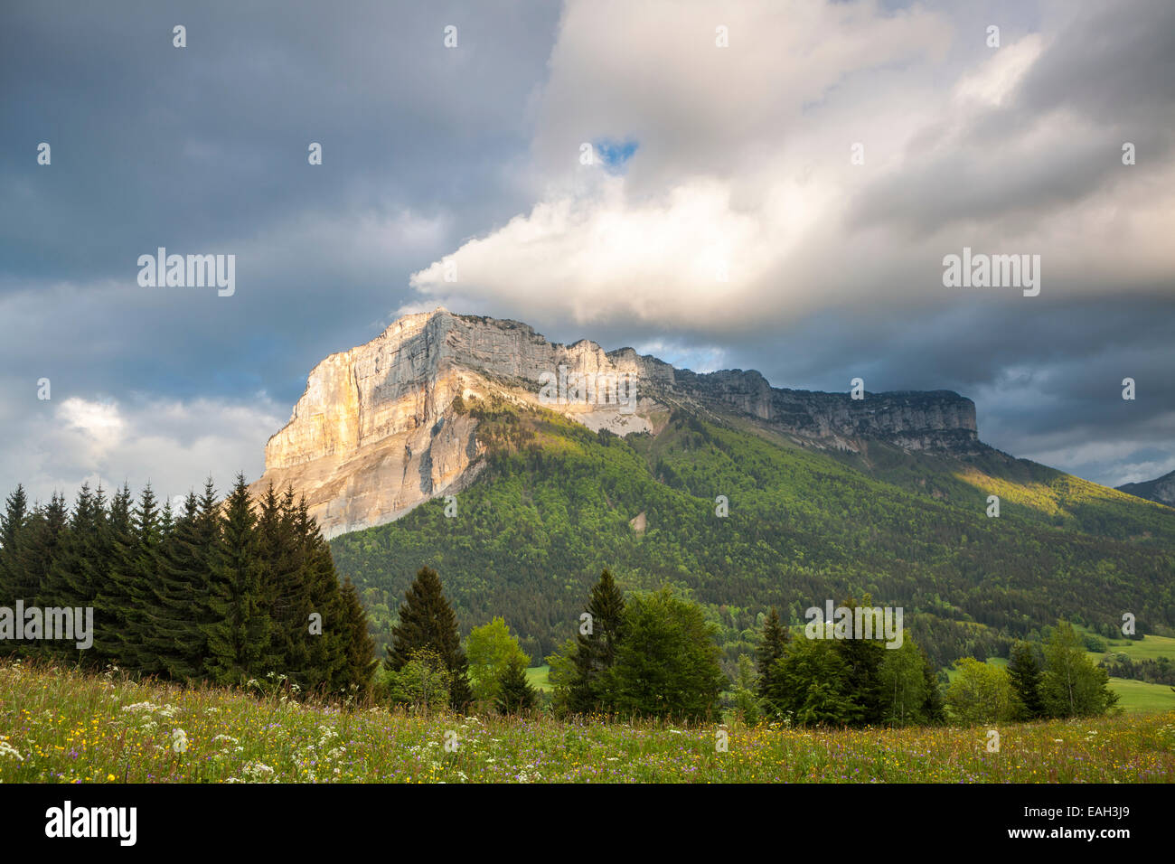 Mont Granier bei Sonnenuntergang, natürliche Parc La Chartreuse, Savoie, Rhône-Alpes, Frankreich Stockfoto