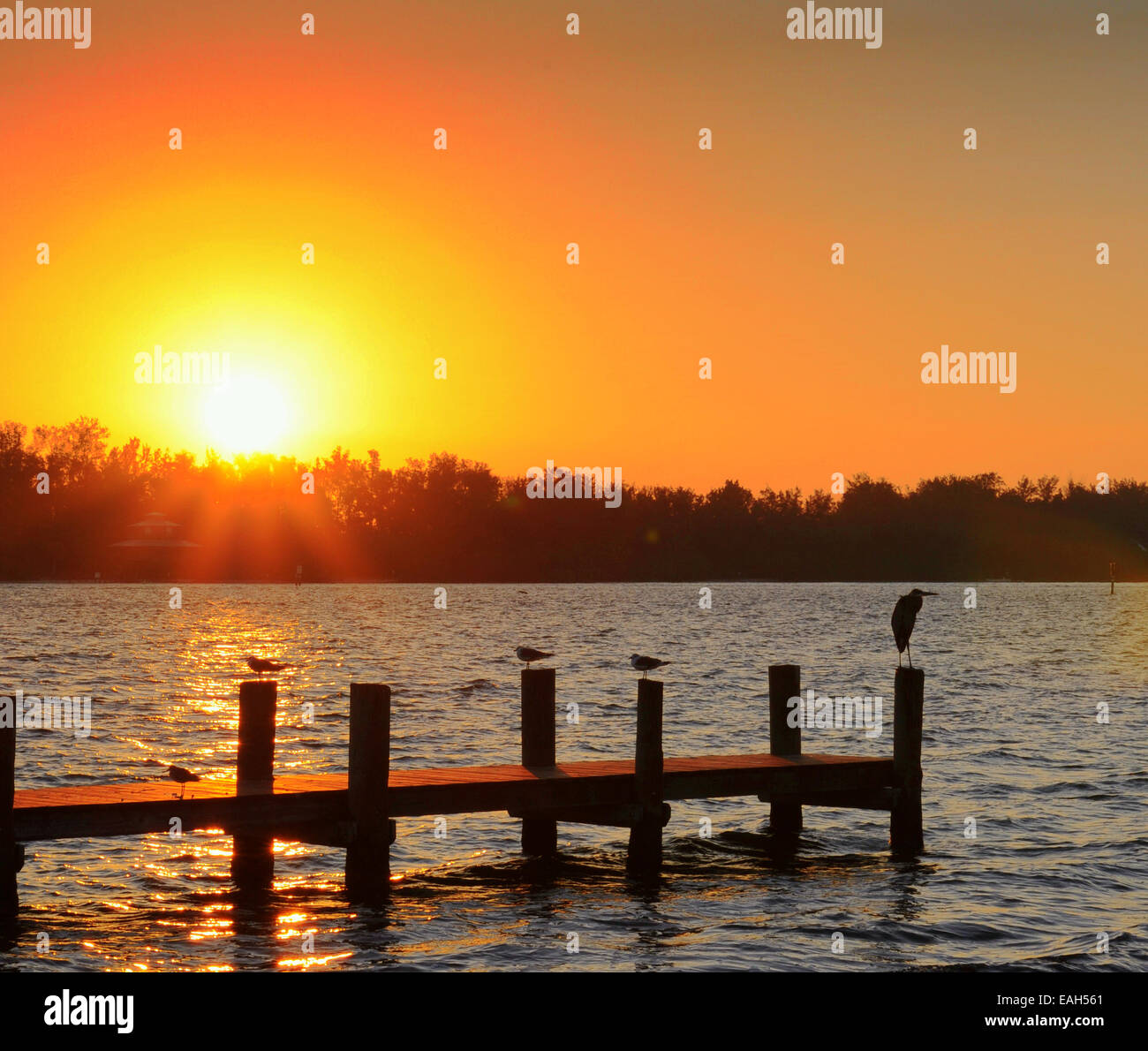 Bradenton, Florida, USA.15. November 2014.Szenen von der South Coquina Bootsrampe bei Sonnenaufgang an einem klaren, aber viel kühleren Tag im Sunshine State. Stockfoto
