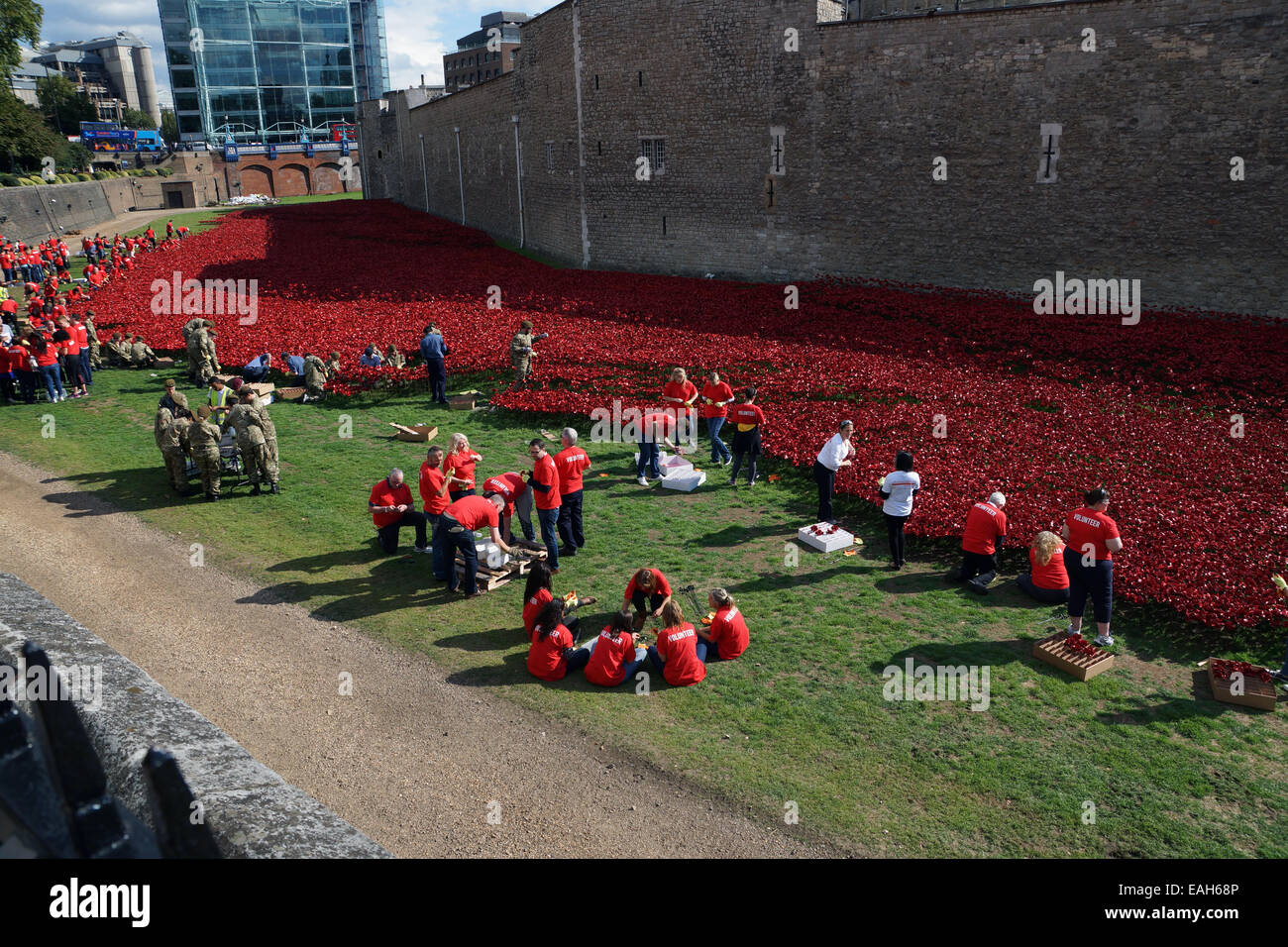 Freiwillige legen tausende von Keramik Mohn für die Kunst Installation Blut Mehrfrequenzdarstellung Länder und Meere von rot in Gedenken an den ersten Weltkrieg Centenary 24. September 2014 in London. Der trockene Graben des Tower of London hat mit 888.246 Keramik Mohn, eine für jedes Briten und kolonialen gefüllt worden Todesfall während des Krieges. Stockfoto