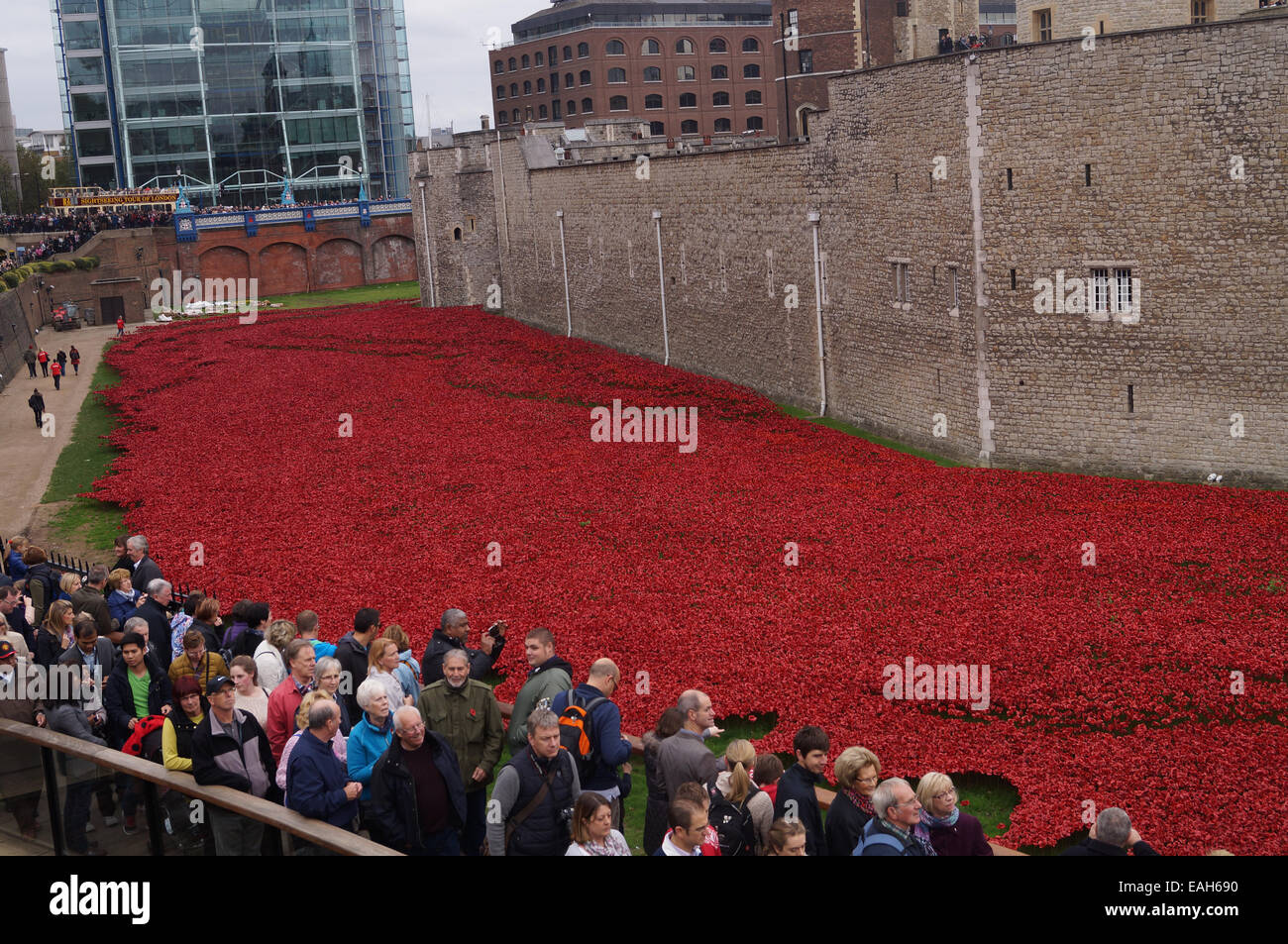 Besucher der Tower of London anzeigen die Kunstinstallation "Blut Mehrfrequenzdarstellung Länder und Meere of Red" in Gedenken an den ersten Weltkrieg Centenary 26. Oktober 2014 in London Der trockene Graben des Tower of London hat mit 888.246 Keramik Mohn, eine für jedes Briten und kolonialen gefüllt worden Todesfall während des Krieges. Stockfoto