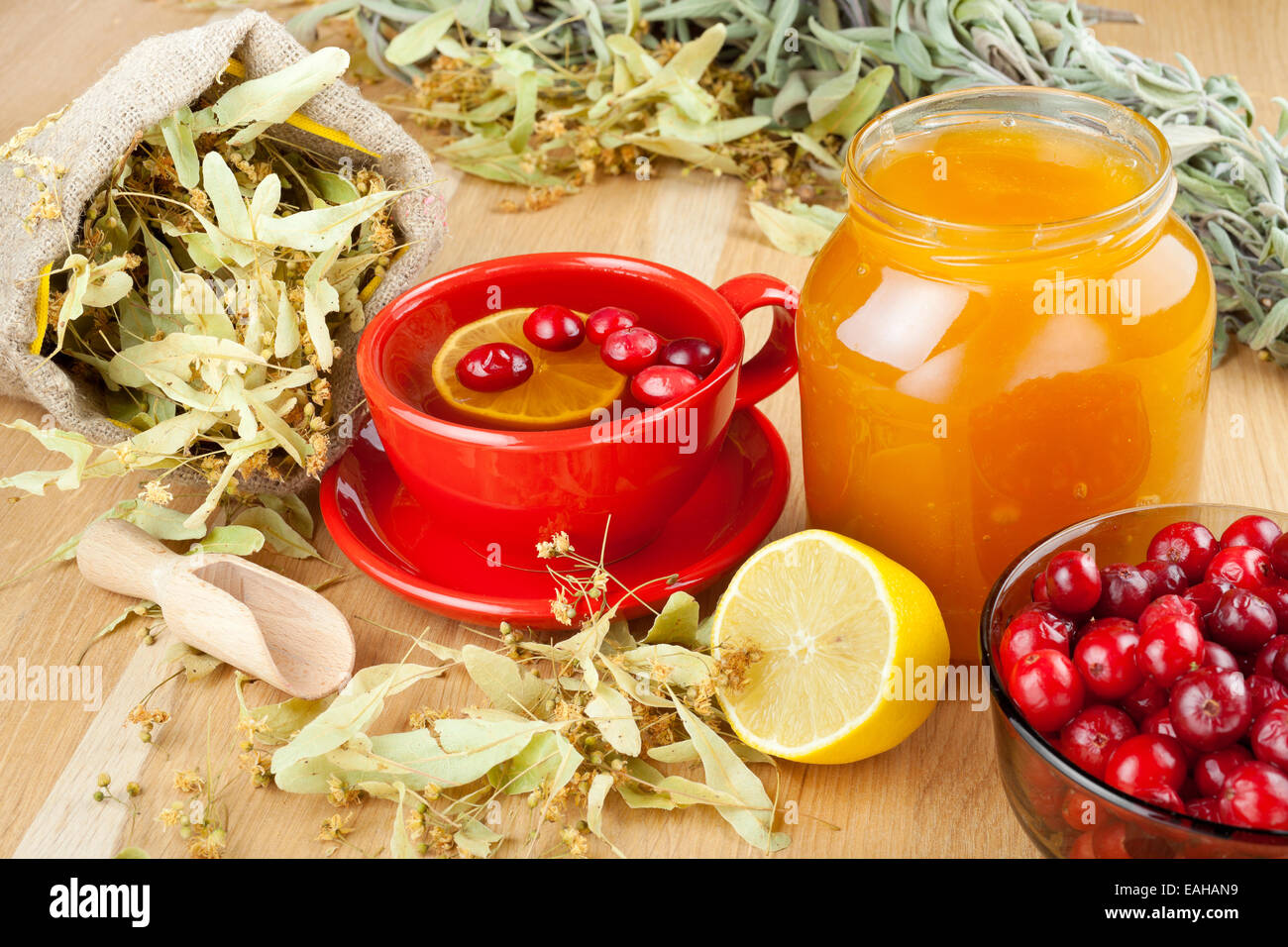 Preiselbeeren, Glas mit Honig, Obst Teetasse, Heilkräuter und Zitrone Stockfoto